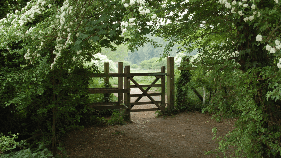 Aluminum Fence north riverside il chicago commercial fencing.png