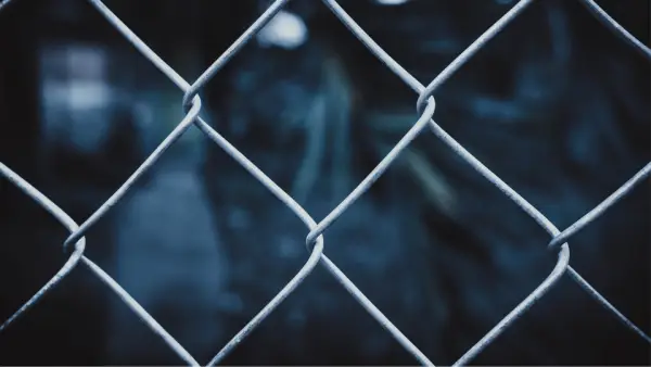 wood fence waco tx chicago commercial fencing.webp