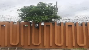 custom-fences-materials-colors-and-finishes-that-make-a-difference