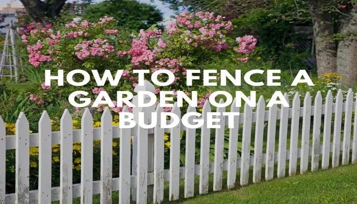 how-to-fence-a-garden-on-a-budget