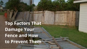 top-factors-that-damage-your-fence-and-how-to-prevent-them